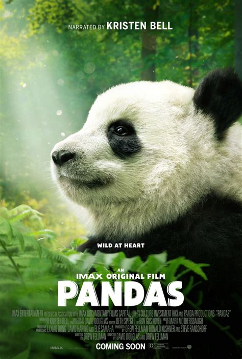panda movies